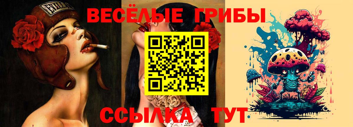 Галлюциногенные грибы Psilocybe Казань
