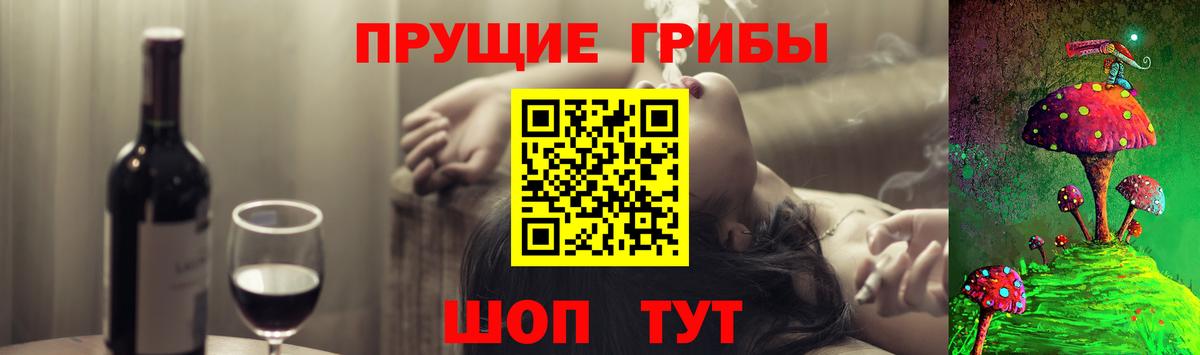 Казань  Галлюциногенные грибы Psilocybine cubensis  Вход с VPN 